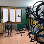 Alu Mountain Design 보르미오