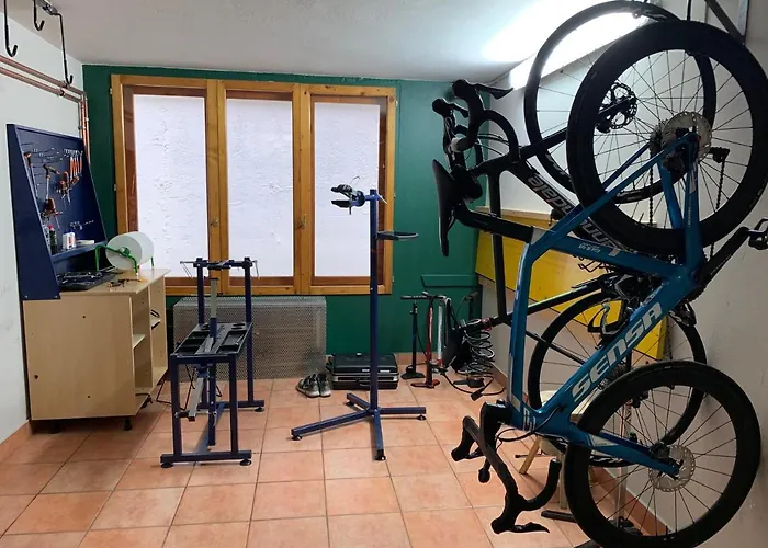 Alu Mountain Design 博尔米奥