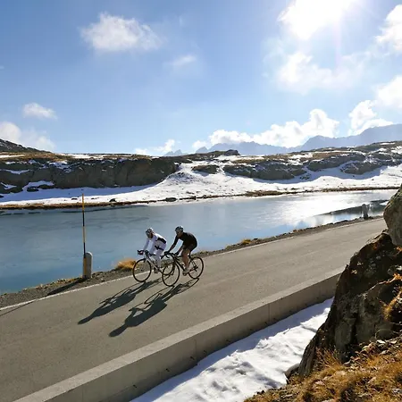 Alu Mountain Design 4*